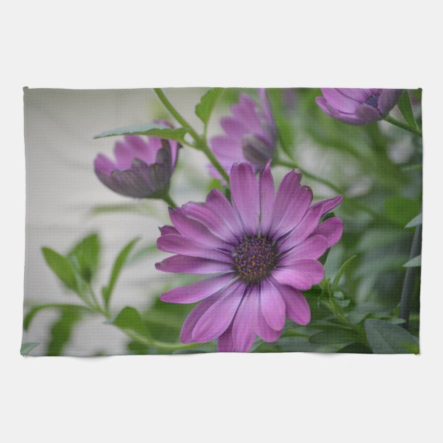 Purple Daisy Kitchen Towel (Horizontal)