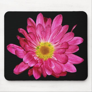 Purple  Daisy Mouse Pad