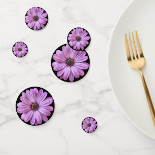 Purple Daisy on Black Confetti