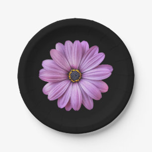 Purple Daisy on Black Party Paper Plates