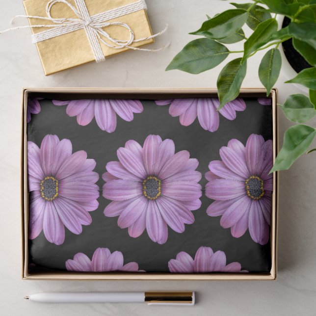 Purple Daisy on Black Tissue Paper (Gift)