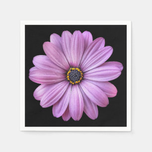 Purple Daisy sur les serviettes en papier noir