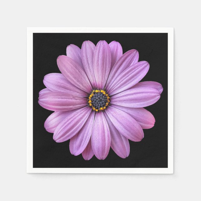 Purple Daisy sur les serviettes en papier noir (Devant)