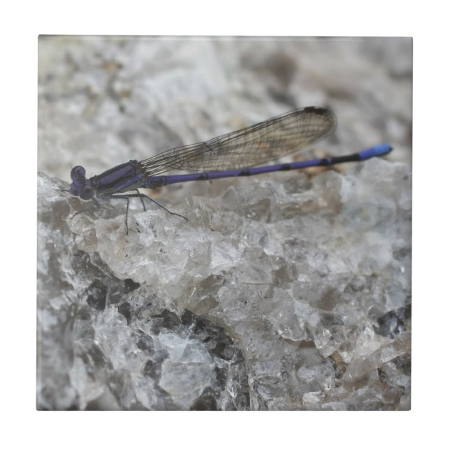 Purple Damselfly On Quartz Nature Tile (Front)