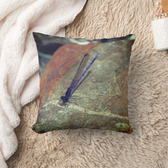 Purple Damselfly Posing On Rock Close Up  Throw Pillow (Blanket)
