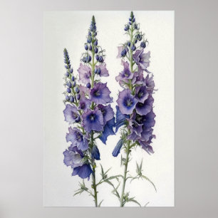 Purple Delphinium Flower Art Print Poster
