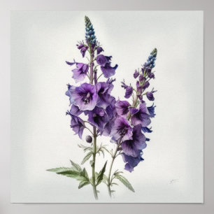 Purple Delphinium Flower Art Print Poster