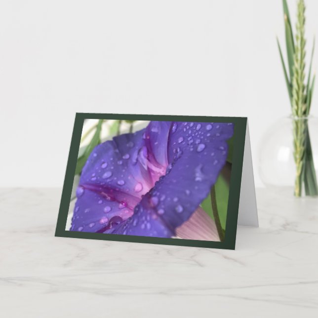 Purple Dewdrop Morning Glory Blank Card (Front)