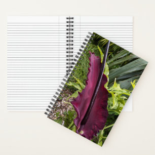 Purple Dragon Lily Bloom Botanical Notebook