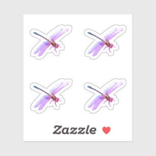 Purple Dragonflies