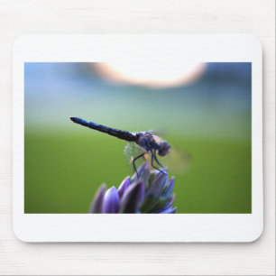 Purple Dragonfly Mouse Pad