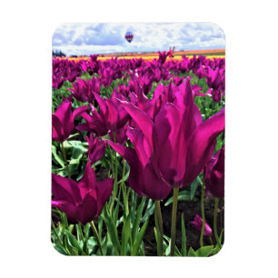 Purple Dream Tulips Magnet