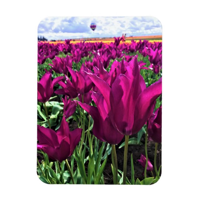 Purple Dream Tulips Magnet (Vertical)