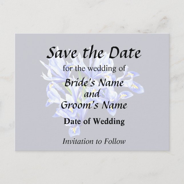 Purple Dwarf Iris Heart Announcement Postcard (Front)