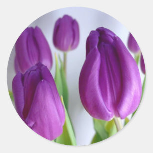 Purple Easter Tulips Stickers