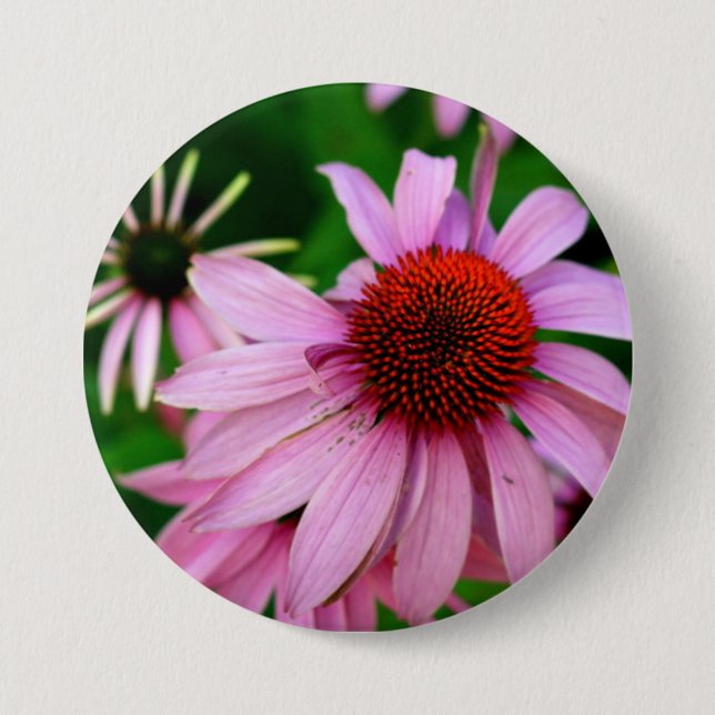 purple echinacea button (Front)