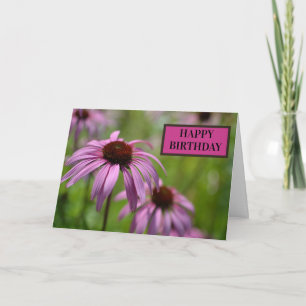 Purple Echinacea Cone Flowers at RHS Wisley Card