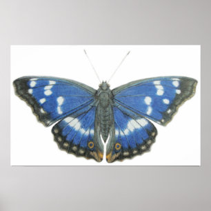 Purple Emperor 2012 Poster