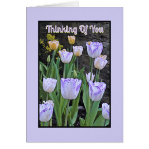 "PURPLE ET BLANC TULIPS / Penser à vous