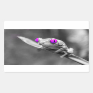 Purple-eyed frog sticker