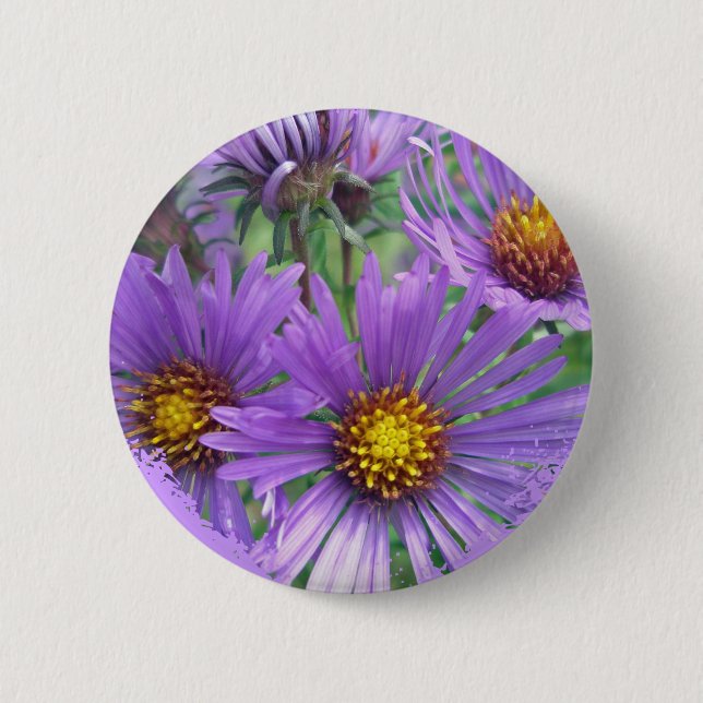 Purple Fall Asters Wildflower Matching Items 2 Inch Round Button (Front)