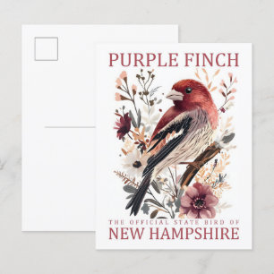 Purple Finch Bird of New Hampshire USA Travel Postcard