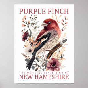 Purple Finch Bird of New Hampshire USA Travel Poster