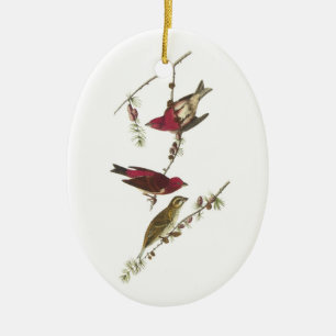Purple Finch by Audubon Ceramic Ornament