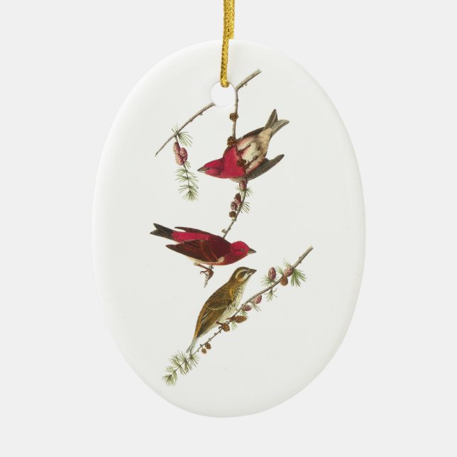 Purple Finch by Audubon Ceramic Ornament (Front)