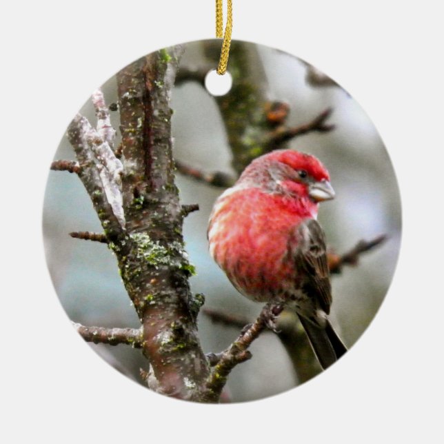 Purple Finch Ceramic Ornament (Front)
