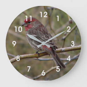 Purple Finch Large Clock