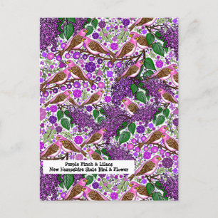 Purple Finches, Lilacs - NH State Bird and Flower Postcard