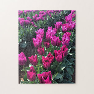 Purple Flag Tulips, Oregon Jigsaw Puzzle