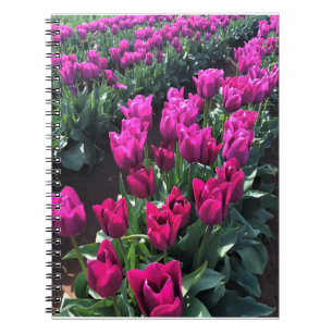 Purple Flag Tulips, Oregon Notebook