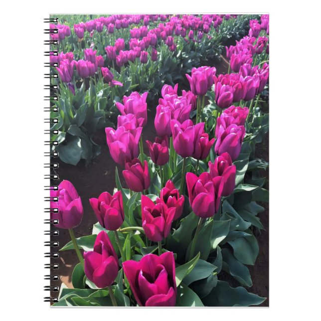 Purple Flag Tulips, Oregon Notebook (Front)