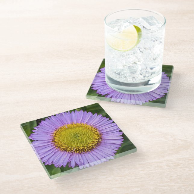 Purple Fleabane Daisy Floral Glass Coaster (Angled)
