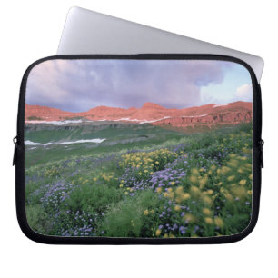 Purple Fleabane (erigeron peregrinus) and Yellow Laptop Sleeve