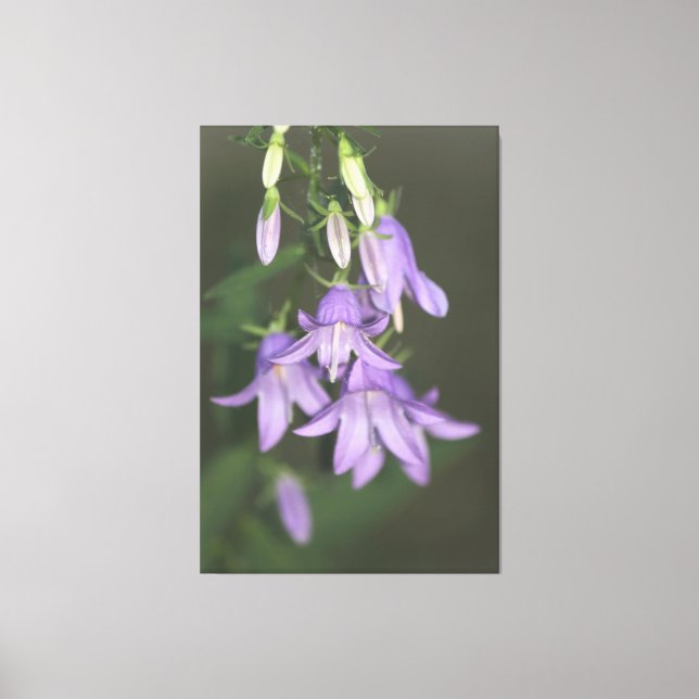 Purple Floral Canvas Print (Front)