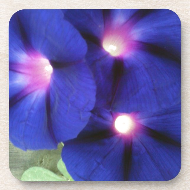 Purple Floral Coaster (Front)