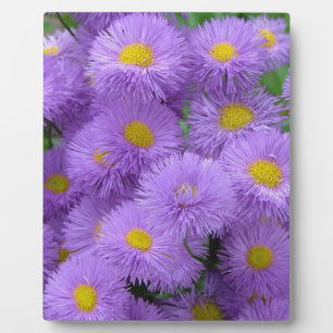 Purple Floral Plaque