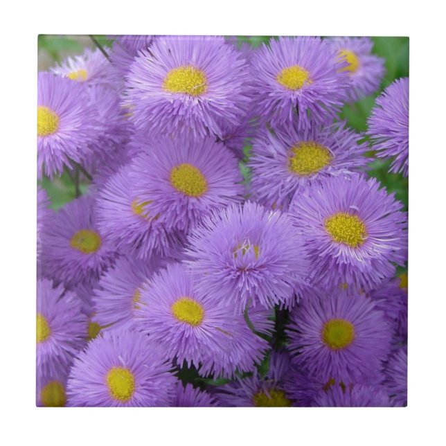 Purple Floral Tile (Front)