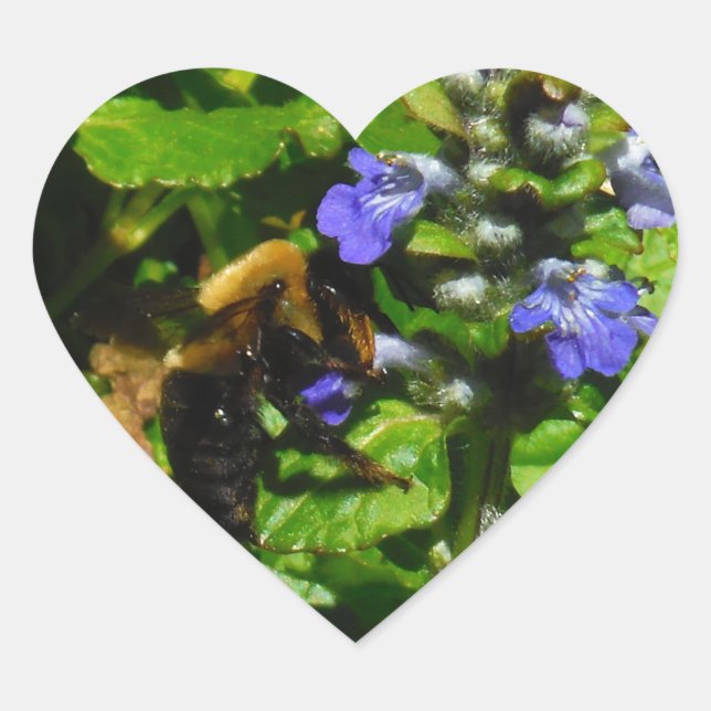 Purple Flower and Bumble Bee Heart Sticker (Front)