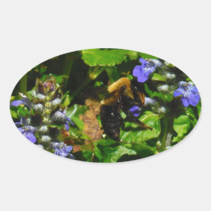 Purple Flower and Bumble Bee Oval Sticker