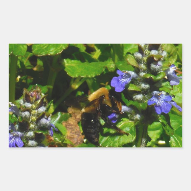 Purple Flower and Bumble Bee Sticker (Front)