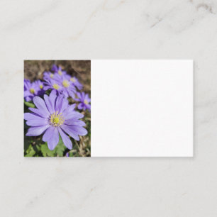 Purple flower business card