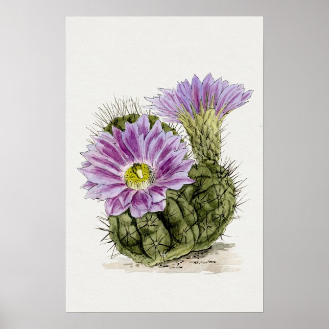 Purple Flower Cactus Sketch Art Poster (Front)