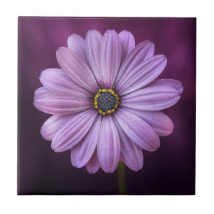 Purple Flower in Bloom Tile