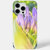 Purple Flower - Lily of the Nile