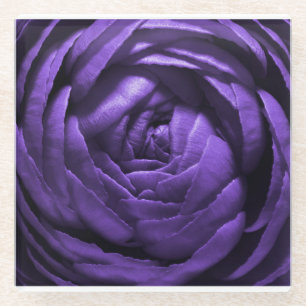 Purple Flower Macro Shot Glass Coaster