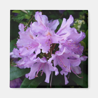 Purple Flower Magnet